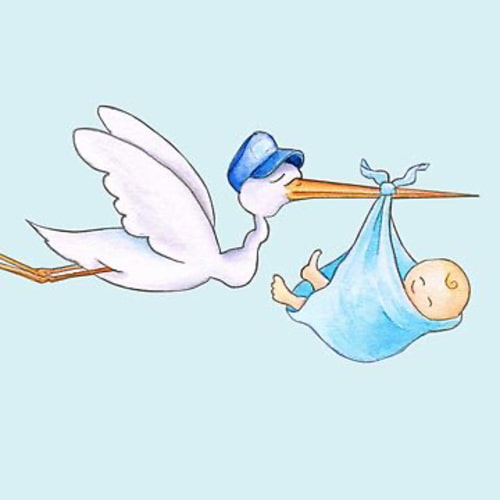 Birth Expense and Diaper Fund 🥰