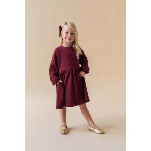 Long Sleeve Skater Dress in Burgundy