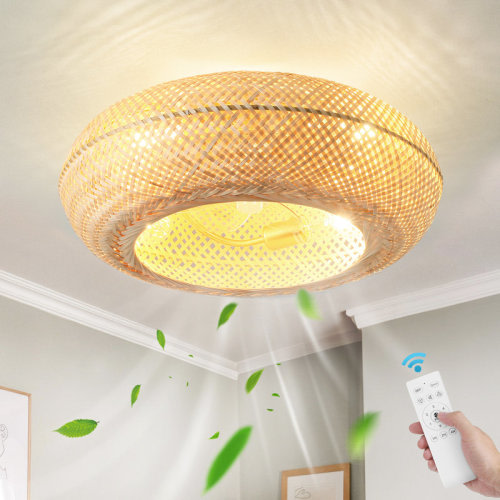 Bay Isle Home™ Nihar 20" Boho Rattan Caged Ceiling Fan with Lights & Reviews | Wayfair