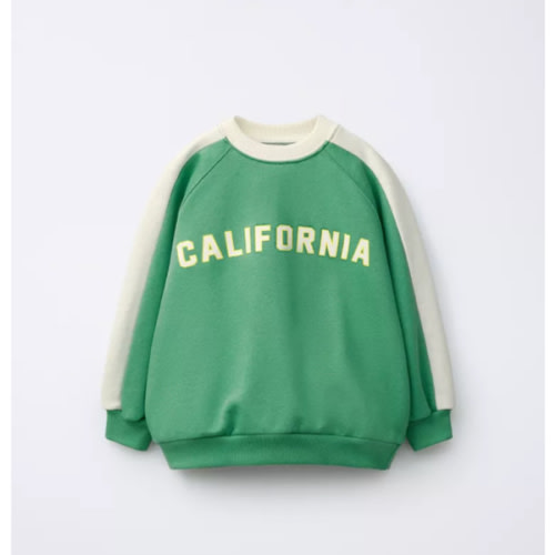 CONTRASTING TEXT STRIPED SWEATSHIRT - Green | ZARA United States