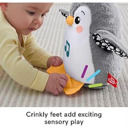 Fisher-Price Penguin Walks and Flutters Plush Toy with Music, Toy for Newborn Babies (Mattel HNC10) : Amazon.es: Toys & Games