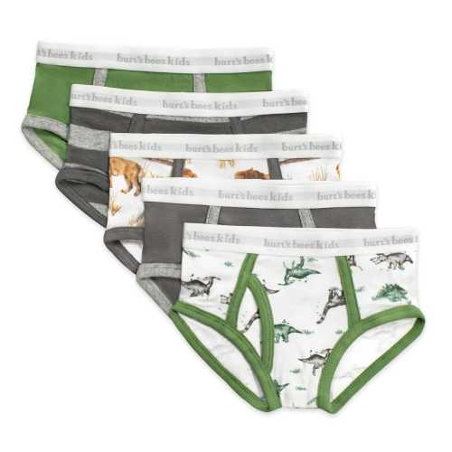 Happy Herbivores & Lions Organic Cotton Toddler Boy Underwear 5 Pack – Burt's Bees Baby