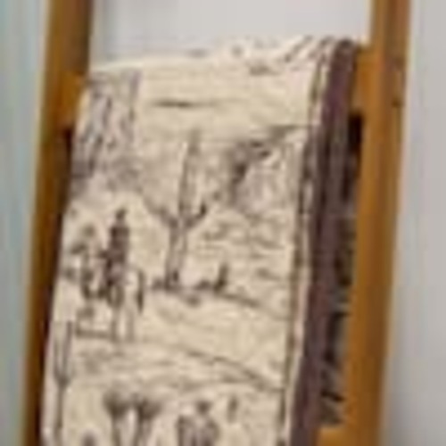 DONNA SHARP Cowboy Beige and Brown Cotton Throw Blanket 62098