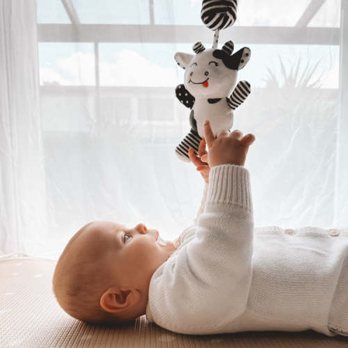 Hanging Toys – Young Wonderer