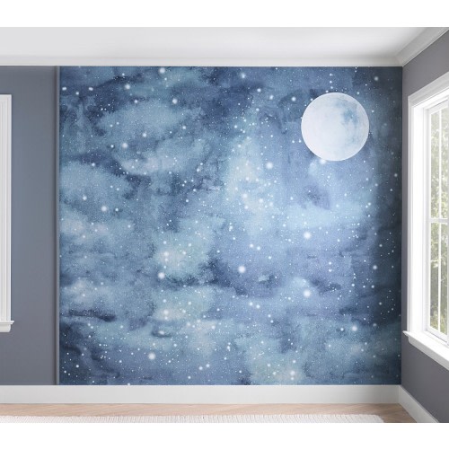 Night Sky Mural