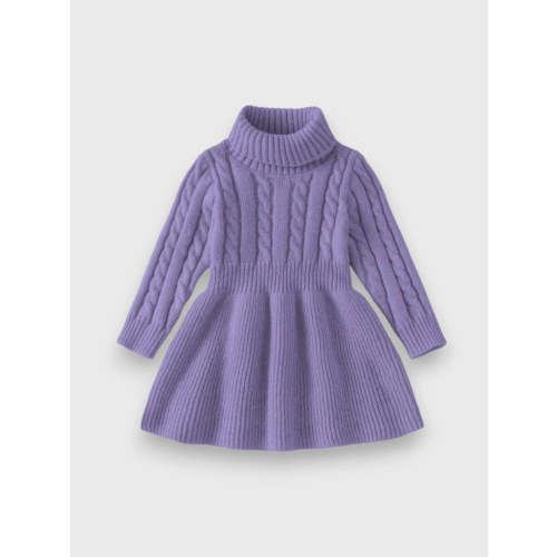 Baby Girl Turtle Neck Sweater Dress