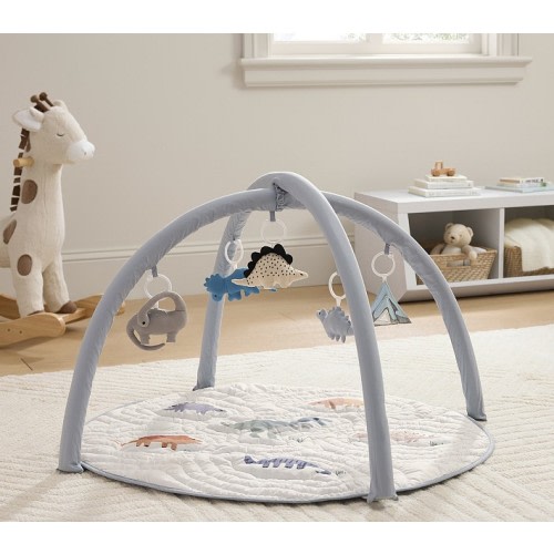Dino Activity Gym