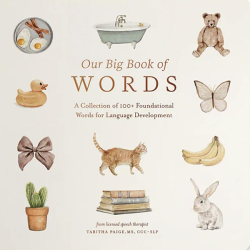 Our Big Book of First Words: A Collection of 100+ Foundational Words for Language Development (Tabitha Paige Children's Book Series)