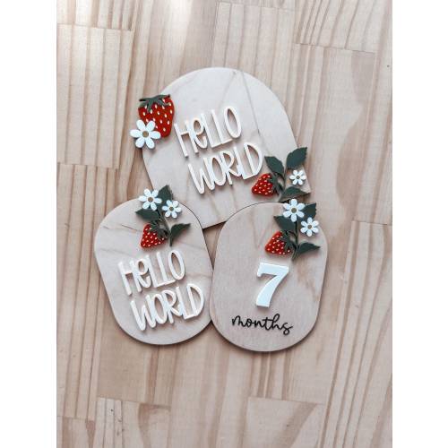 Milestone Sign for Baby