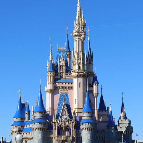 DISNEYWORLD FUND!