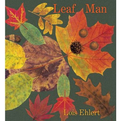 Leaf Man - by Lois Ehlert (Board Book)