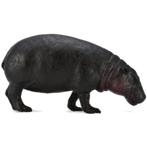 CollectA Pygmy Hippopotamus #88686 - Dark Coloring