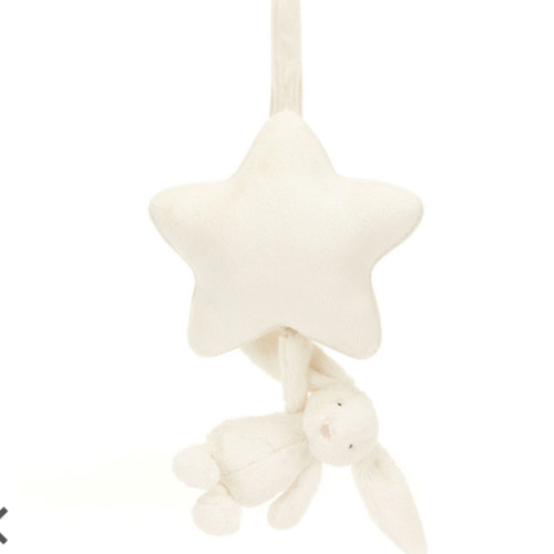 Bashful Bunny Musical Pull