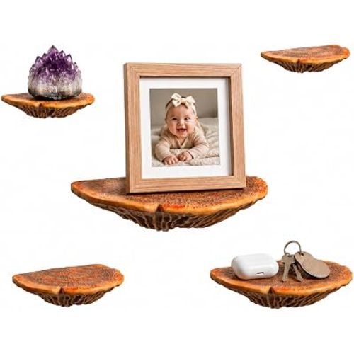 Mushroom Wall Decor for Home, 5-Piece Whimsical Floating Mushroom Shelves