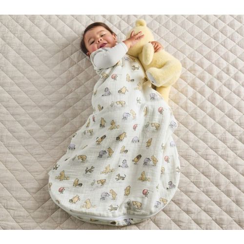 Disney's Winnie the Pooh Plush