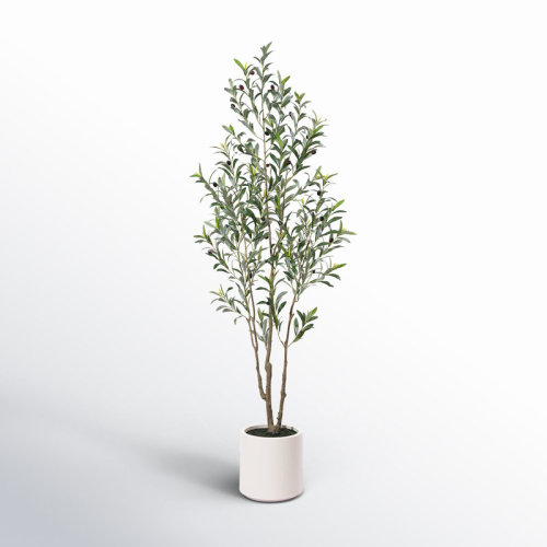 Primrue Adcock Faux Olive Tree in White Planter, Lifelike Fake Olive Plant for Indoor and Outdoor Decor & Reviews | AllModern