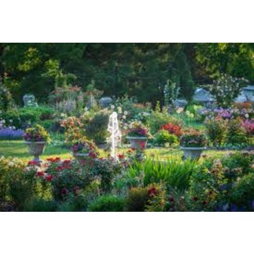 Fund for Morris Arboretum Membership