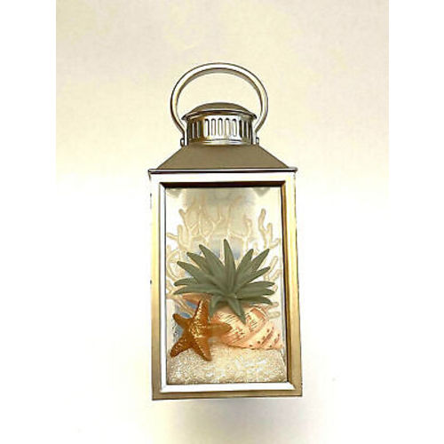 Beach plant nightlight with starfish and seashell wallflower plug-in