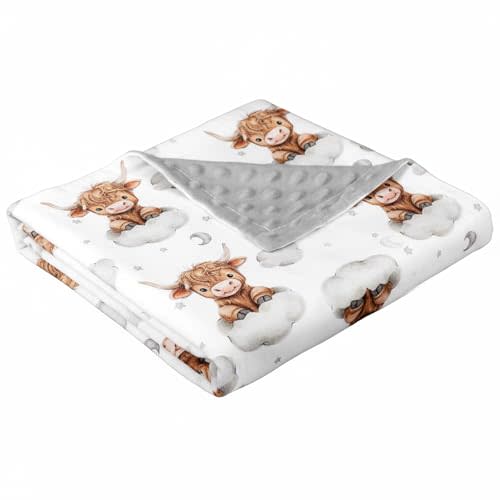 Lounsweer Highland Cow Baby Blanket for Kids Western Clouds Farmhouse Cow Toddler Soft Blanket with Double Layer Dotted Backing for Nursery Newborn Baby Crib, 30"x40"