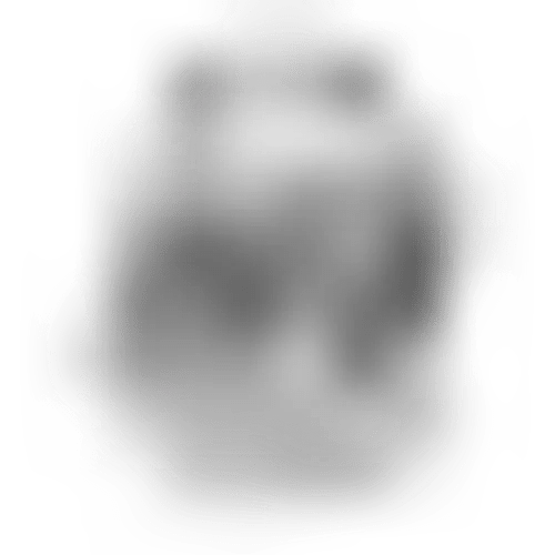 Infant Car Seat Rain Shield for Aria and Mesa (all models)