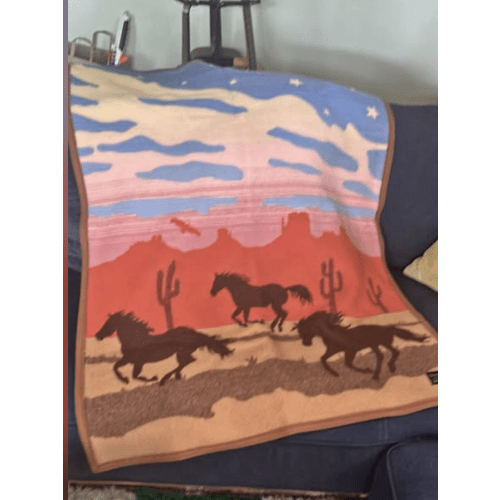 PENDLETON CRIB BLANKET (portland marketplace)