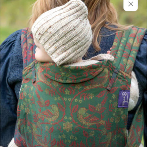 Briarwood Winter's Song Cairis Baby Carrier