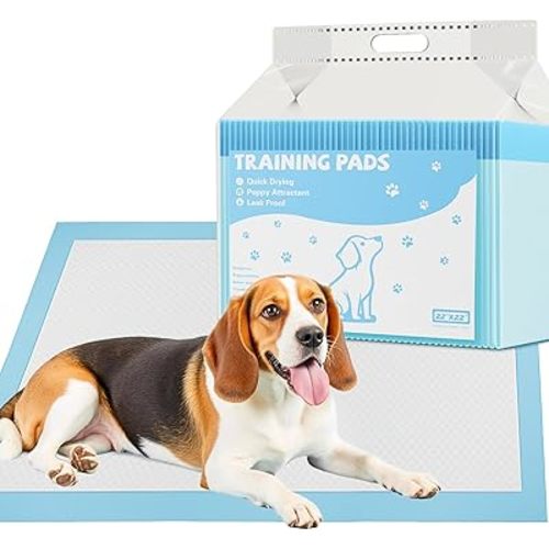 Puppy Pads 22"x22" Regular Size, 100 Count Dog Pee Pads for Potty Training, 6-Layer Ultra Absorbent Leak-Proof Training Pads with Quick-Dry Surface