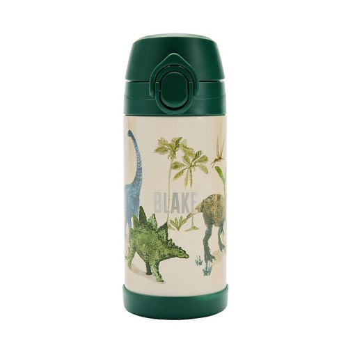 Mackenzie Jurassic Dino Insulated Water Bottle
