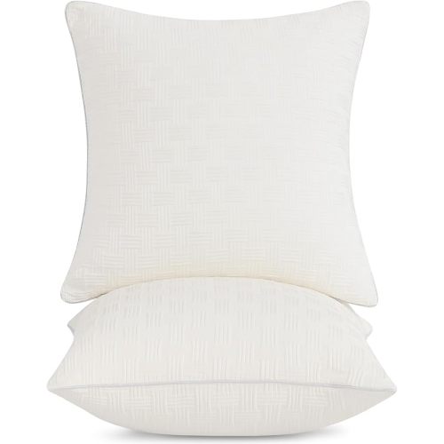 Leeden 18x18 Pillow Inserts Set of 2, Soft and Fluffy Throw Pillow Forms for Couch and Bed, 18 Inch Square Decorative Pillow Inserts, Beige