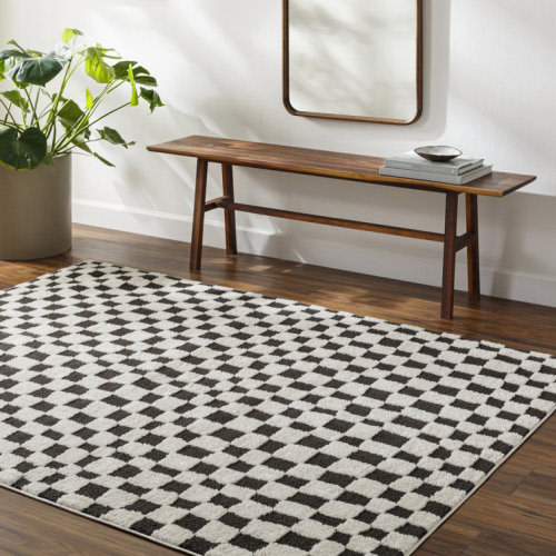 Caiah Checkered Indoor Rug