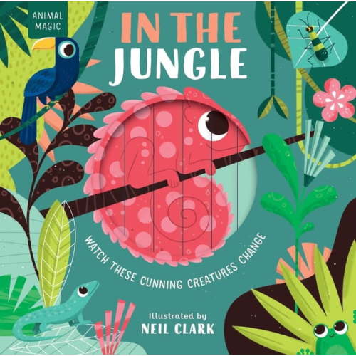 Animal Magic In the Jungle, (Board Book)
