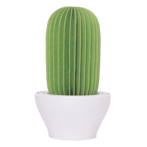 Cactus Non-Electric Personal Humidifier in Green – hsimarketplace