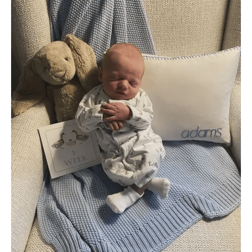 Baby Milestone Cards -set of 14 - Noah's Ark Series — DIZZY DAISY