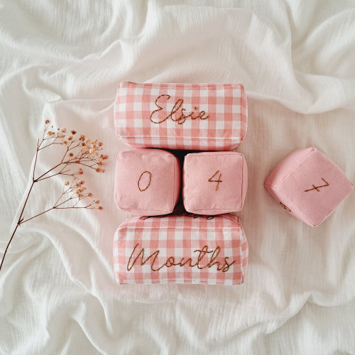Pink Gingham Cloth Month Blocks for Baby Milestone Photos - Personalized Gift for Newborns and Baby Showers