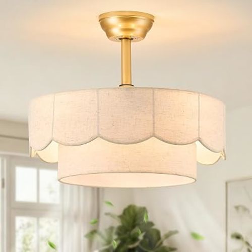 20'' Boho Gold Caged Fandelier Ceiling Fan with Light and Remote Control