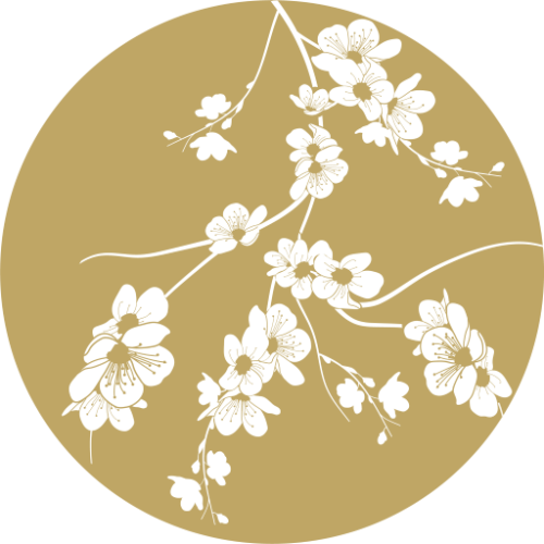 Postpartum Spa Day | Yume Spa