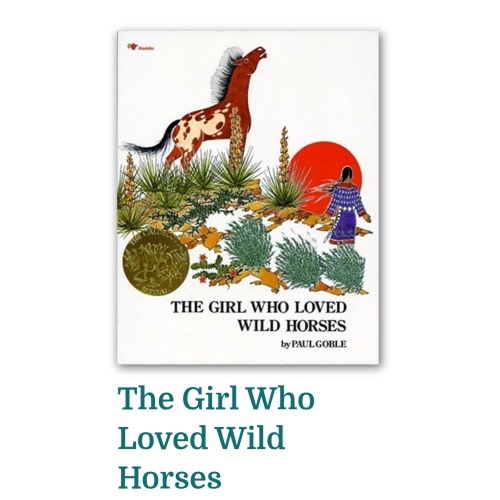 The Girl Who Loved Wild Horses | Flyleaf Books