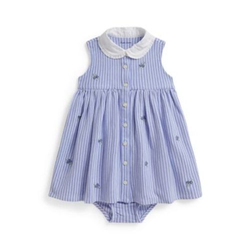 Baby Girls Blueberry Cotton Mesh Dress and Bloomer