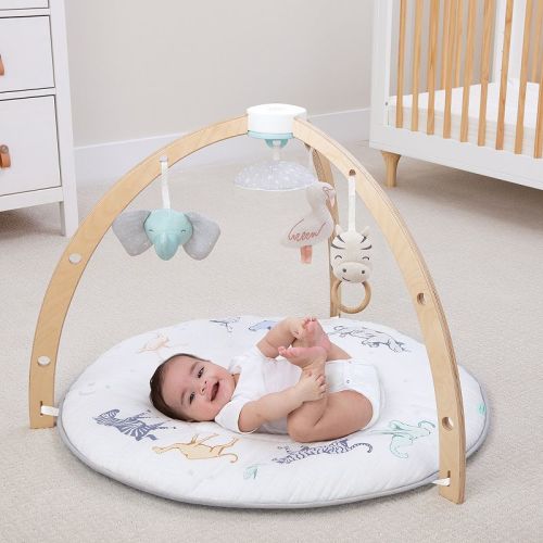 aden + anais Baby Activity Gym
