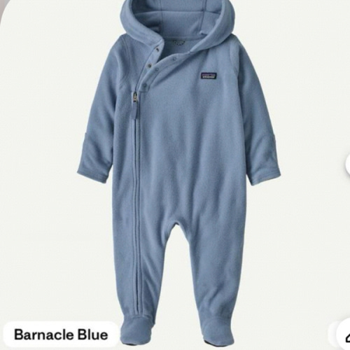 Patagonia Infant Micro D® Fleece Bunting