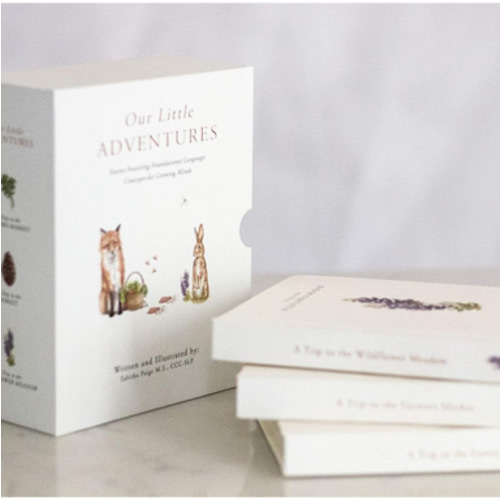 Our Little Adventures: Stories Featuring Foundational Language Concepts for Growing Minds (Tabitha Paige Children's Book Series)