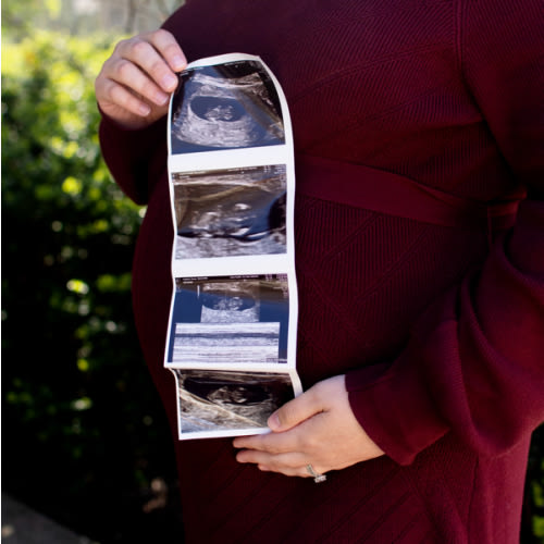 Meal Train Contribution