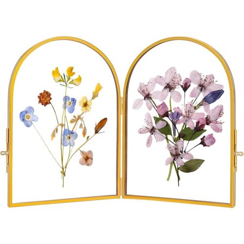 REDHUGO Double Glass Frame for Pressed Flowers Handmade, Pressed Flower Frame, Hinged Tabletop Brass Photo Frames, Dried Flower Display Folding Picture Frame for Home, ArcShaped, Gold, 4×6 Inches
