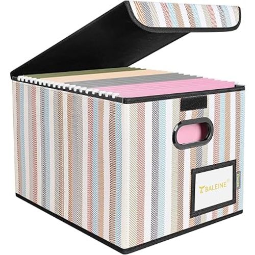 BALEINE File Organizer Box with Lid, Collapsible File Folder Organizer with Plastic Slide, Hanging File Folder Box for Office Document Storage (1 Pack, Color Stripe)