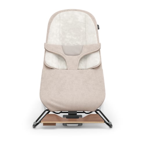 Mira 2-in-1 Bouncer and Seat