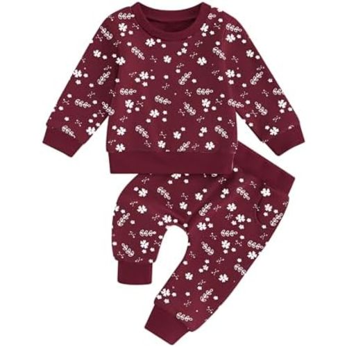 ZOEREA Toddler Baby Girl Clothes Long Sleeve Pullover Tops + Pants Set Floral Print Sweatsuit Fall Winter Outfits 6M-4T