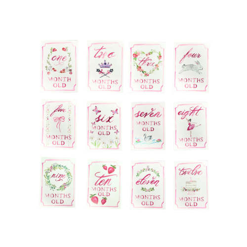 Monthly Milestone Card Set - Pink