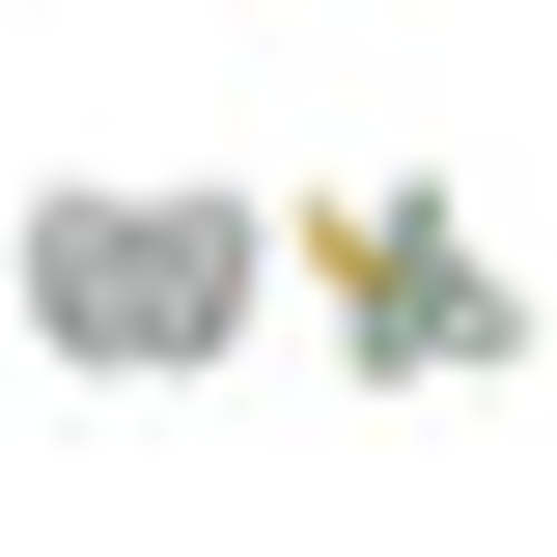 Natural Rubber Pacifier ORTHODONTIC 3-36 Months Two-Pack - Orthodontic – Heveaplanet.com