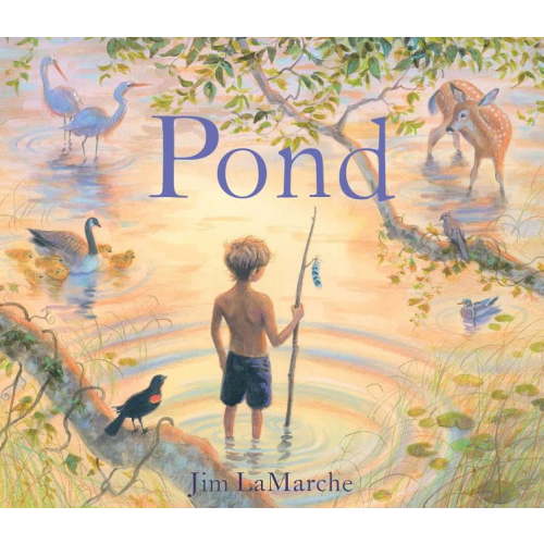 Pond, (Hardcover)