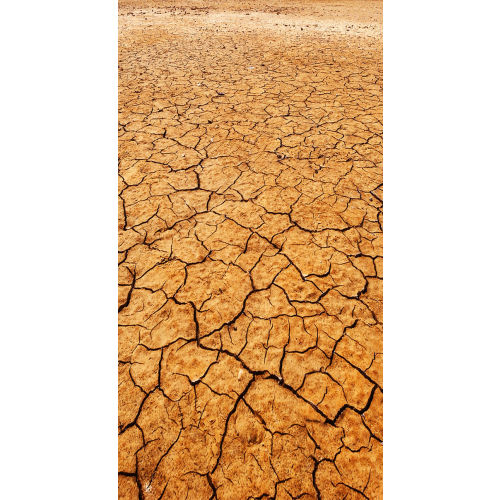 KENTUCKY | Dinosaur World